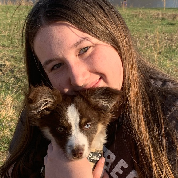 Meet your Posher, Addison - Picture 1 of 1